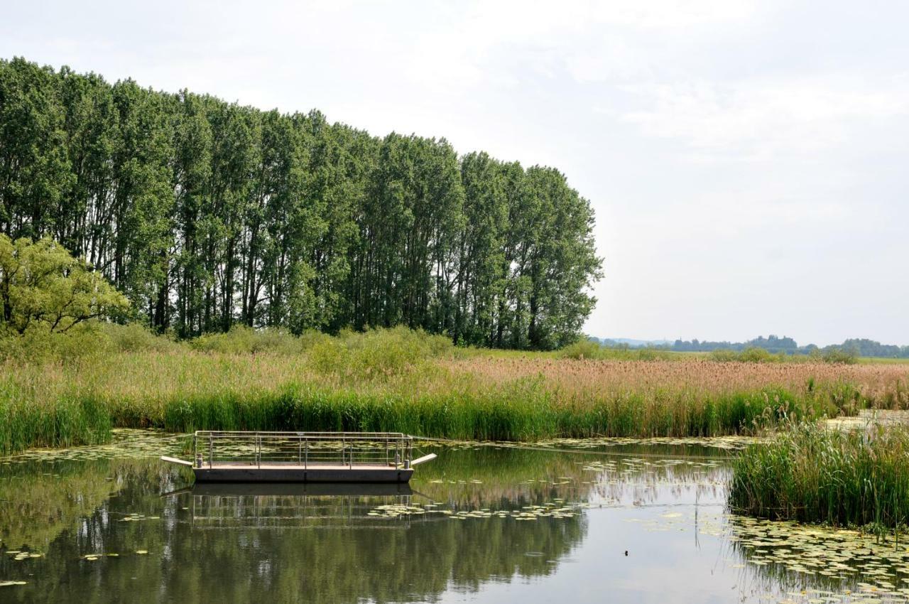 Вилла De Smidse Lobith Экстерьер фото